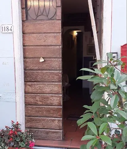 Grandpa Mau Pensión 3*